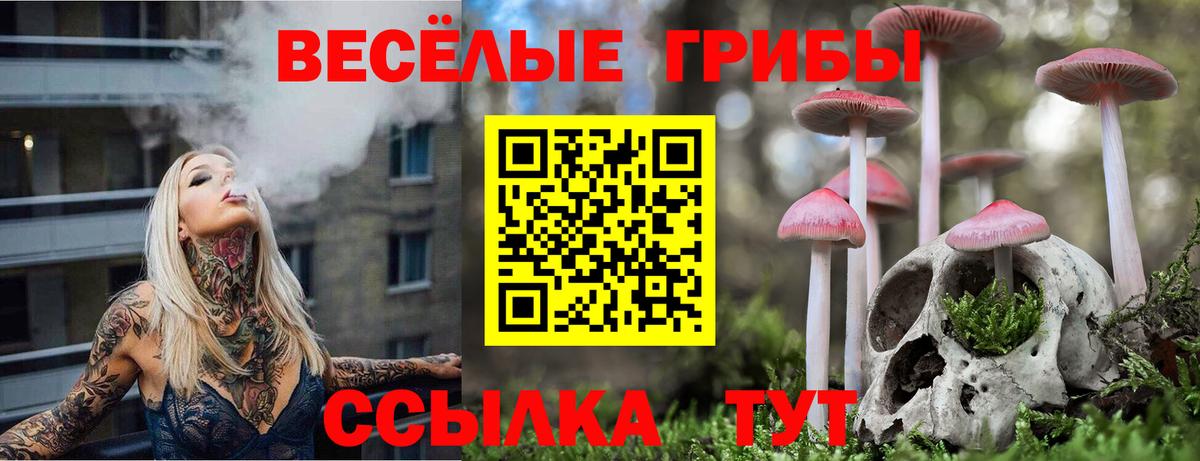 купить закладку  Галлюциногенные грибы Magic Shrooms  Галлюциногенные грибы Psilocybe  Вход с VPN  Ленинск-Кузнецкий 